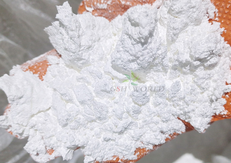 古特生物 古特生物