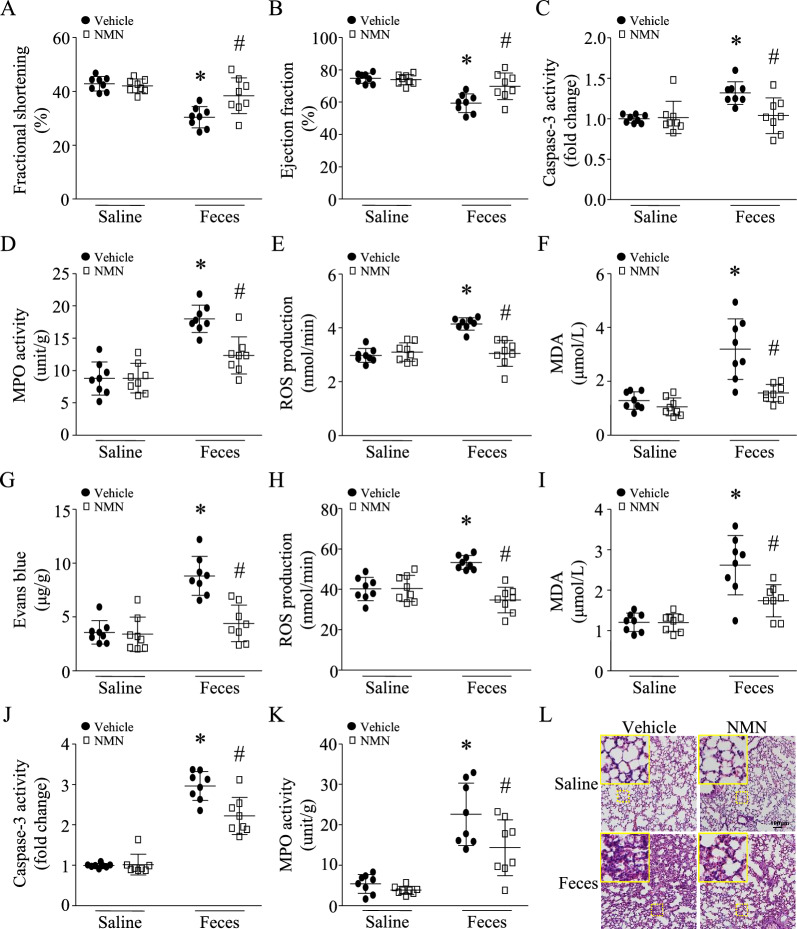 包含圖片、插圖等的外部文件。
對(duì)象名稱為 12967_2023_4767_Fig2_HTML.jpg