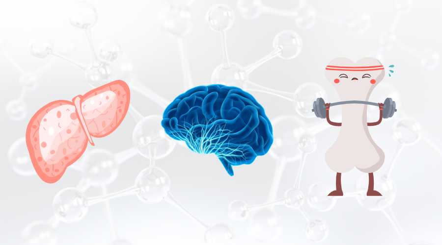 SAM-e 對(duì)身體有什么作用？