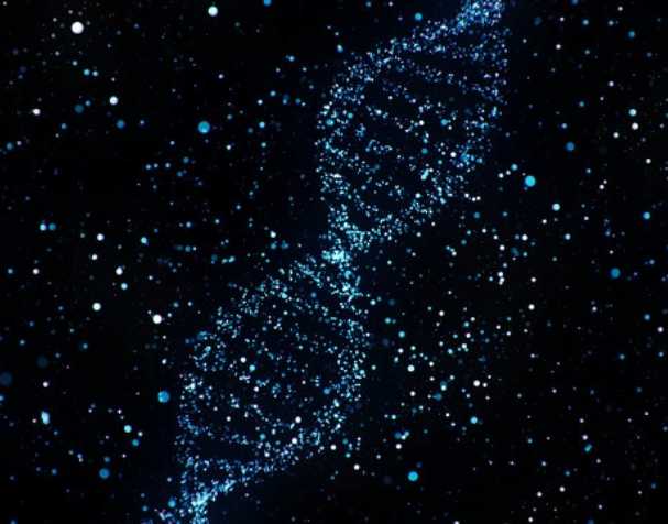 煙酰胺核糖氯化物有什么優(yōu)勢？