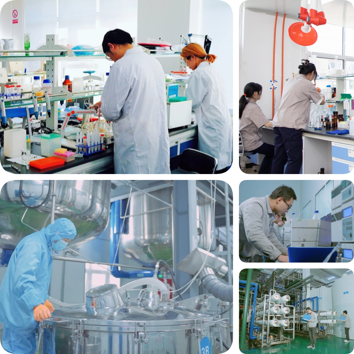 谷胱甘肽是怎么生產(chǎn)的？