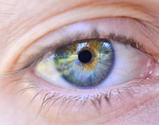 胞磷膽堿的作用機制