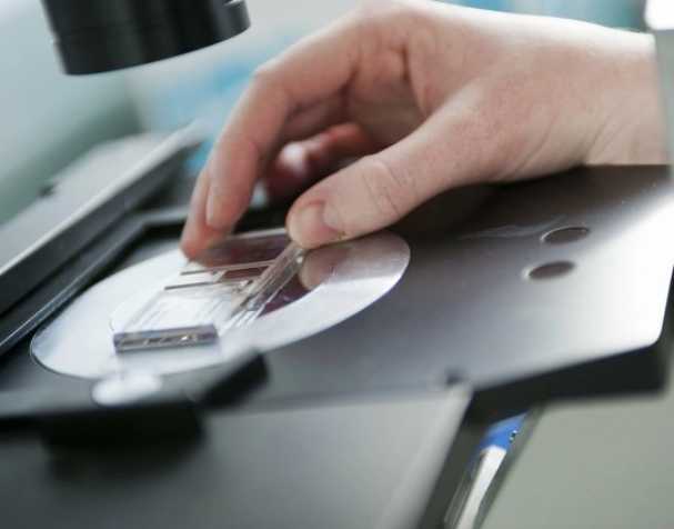 SAMe或成慢性結(jié)腸炎新希望？