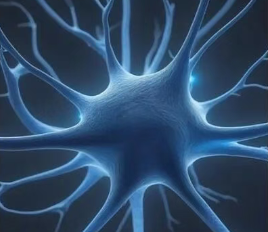 胞磷膽堿:神經(jīng)膜的直接修復(fù)者 胞磷膽堿:神經(jīng)膜的直接修復(fù)者