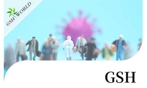 行業(yè)關注 - 增強 GSH 可能是對抗新冠疾病的有效療法