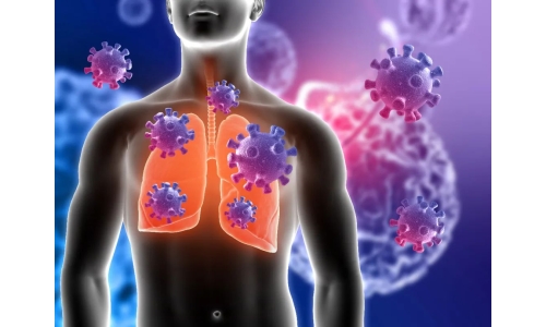 鐘南山：6月底將迎來二陽高峰！危害更大？NMN能有效抵御“二陽”！