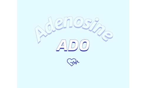 洗護(hù)用品中添加腺苷是否有防脫發(fā)功能？