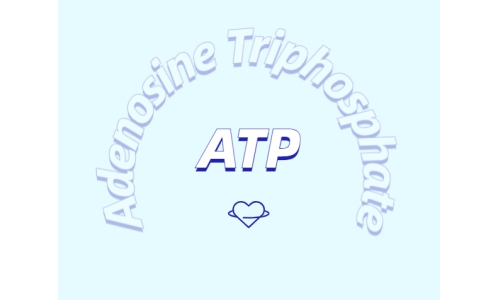 ATP有什么用？