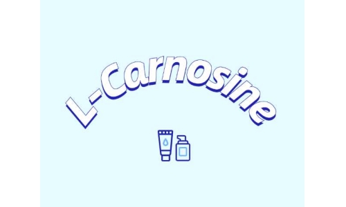 L-肌肽有什么應(yīng)用？