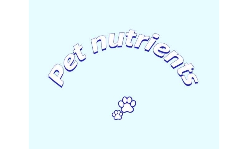 三種具有潛力的寵物營養(yǎng)素——PQQ、輔酶Q10以及S-腺苷甲硫氨酸