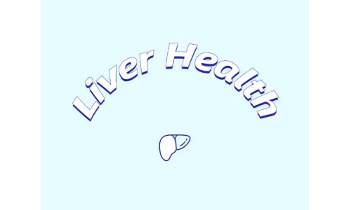 哪些原料可助力肝臟健康？