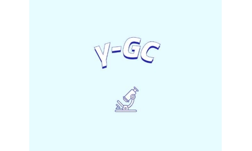 認識γ-谷氨酰半胱氨酸